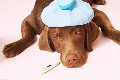 《龙之信条2》将是一款奇幻世界模拟器 注重物理效果